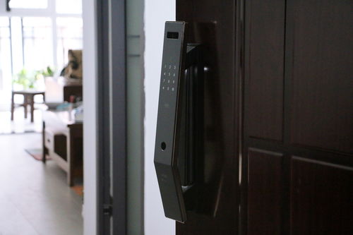 智享安全新體驗(yàn) 華為生態(tài)鏈下的VOC T11 Face人臉識(shí)別智能門(mén)鎖深度解析