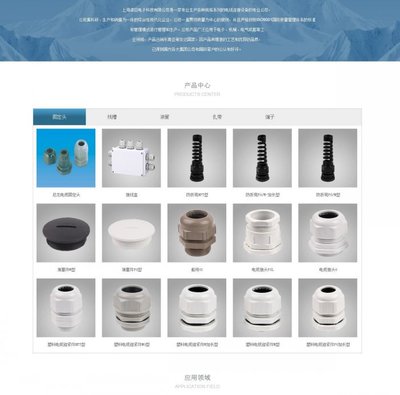 卓巨電子科技 上海高端網站建設與品牌設計案例解析
